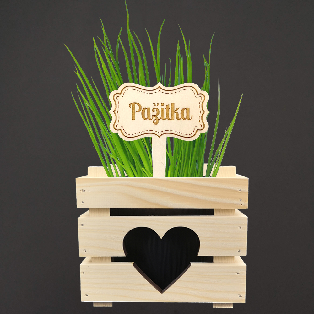 Dřevěný zápich - cedulka na bylinky Pažitka, výška 20 cm, český výrobek